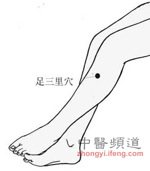 點擊將在新窗口查看全圖 足三里為長壽穴有6大神效 年過三十應(yīng)常灸